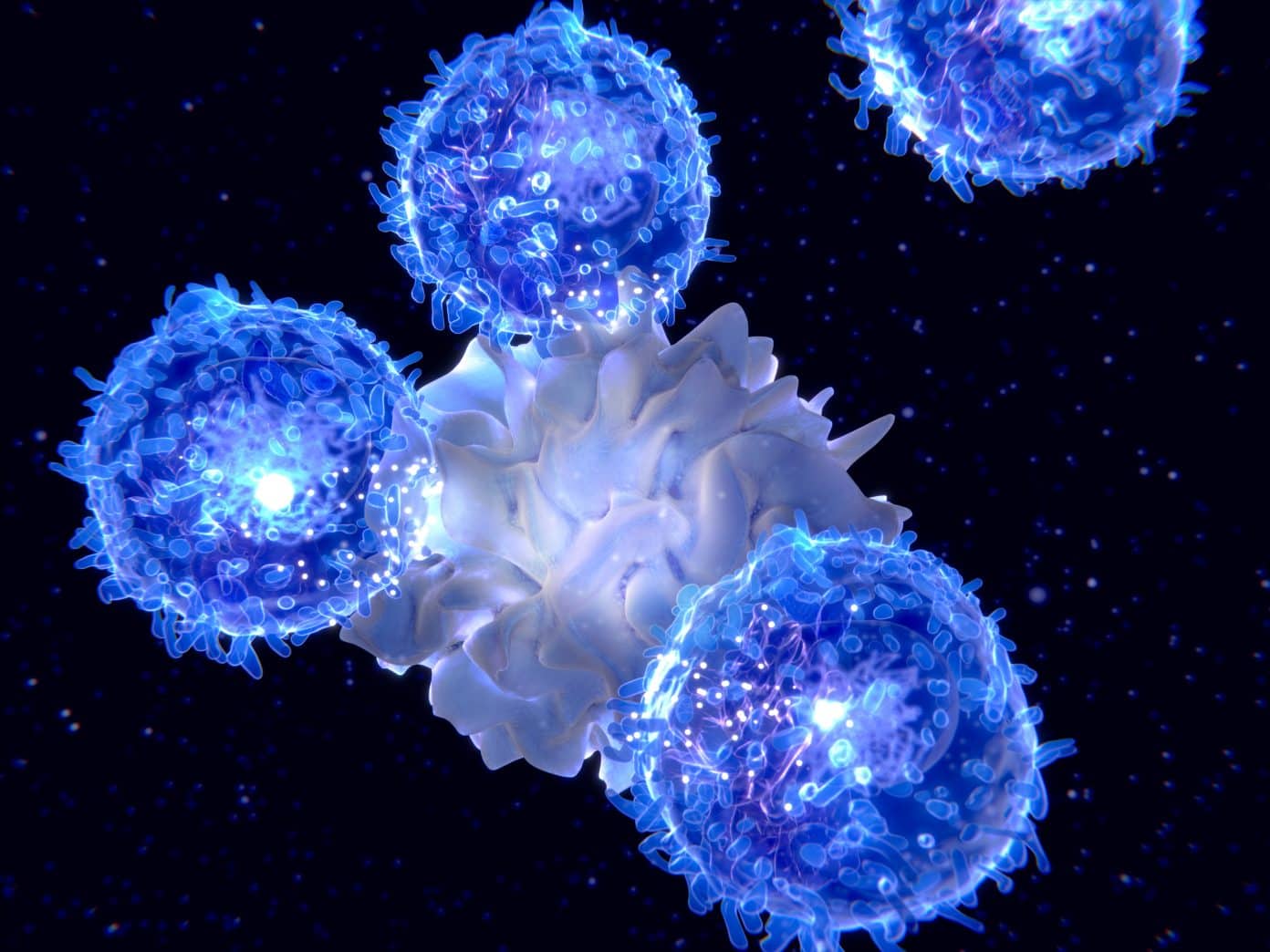 Engineered Dendritic Cells Harness Tumor Evs To Boost Cancer