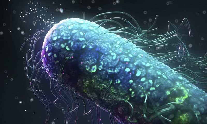 New Antibiotic Candidates Emerge from Robotic Synthesis of Metal Complexes