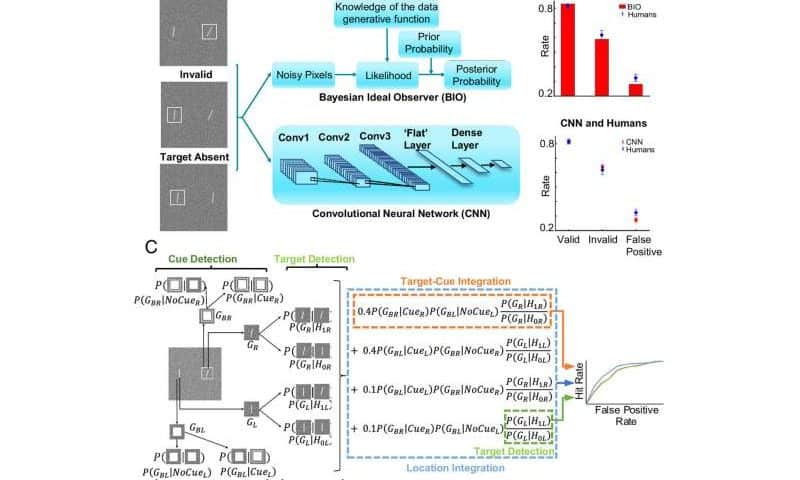 AI helps explain how covert attention works and uncovers new neuron types