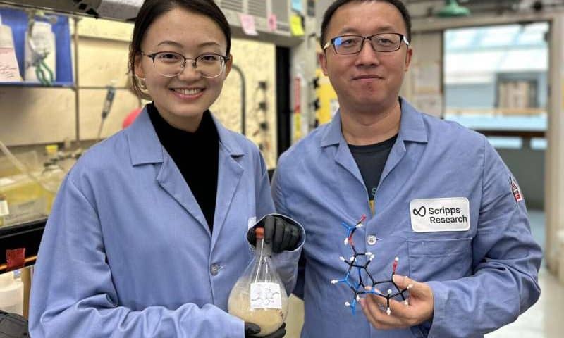 Simplified lab process produces potent nerve-blocking molecules found in shellfish