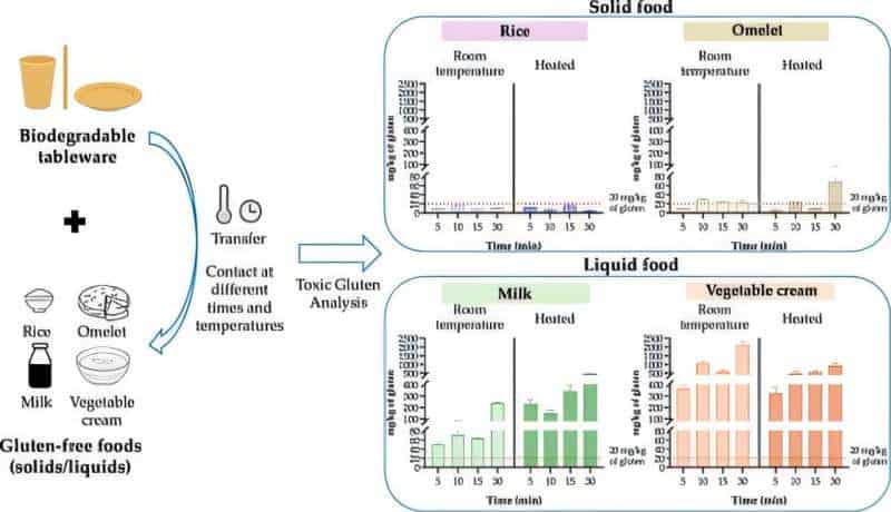Biodegradable dishes could transfer gluten to foods, posing health risk to gluten-sensitive individuals