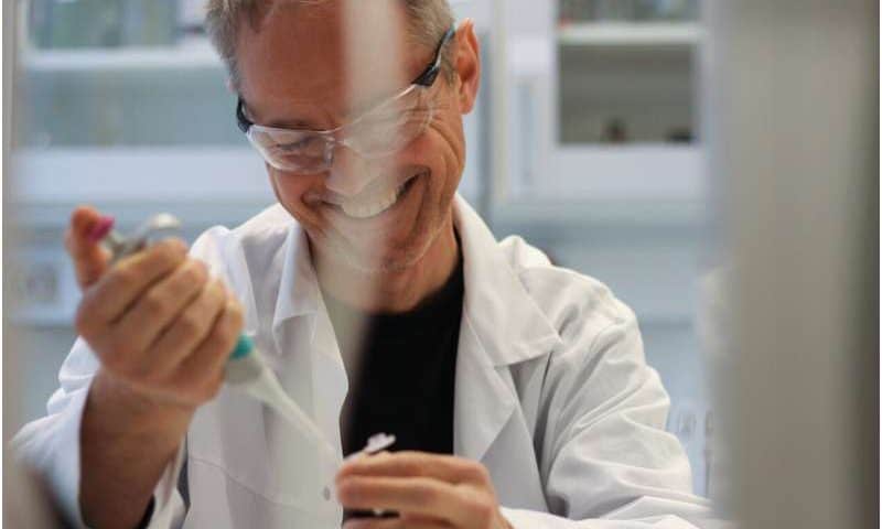 Engineered proteins enable smartphone-based detection of specific DNA sequences