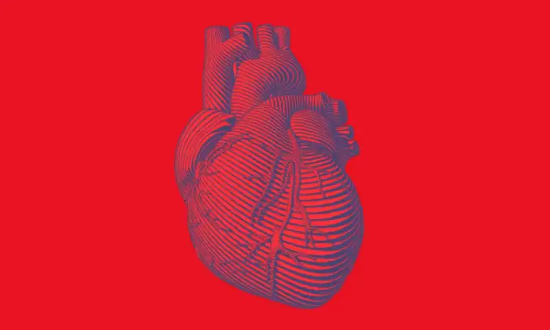 Cytokinetics Wins FDA Approval, Clearing Way to Challenge BMS in Heart Disease Market