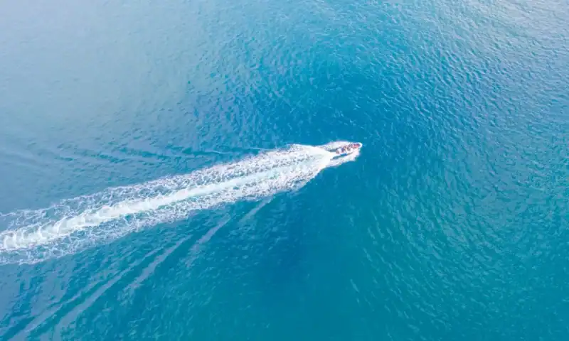 Wave Soars on Early Results for Obesity Treatment That Could ‘Disrupt’ the Landscape