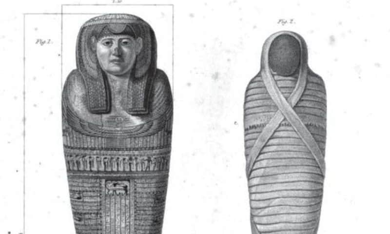 How DNA tricks help tuberculosis fight back against treatment