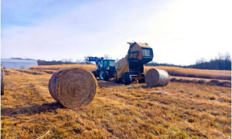 Uncovering harvest and nutrient strategies to boost bioenergy profits