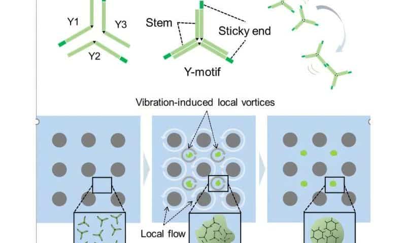 New microfluidics technology enables highly uniform DNA condensate formation