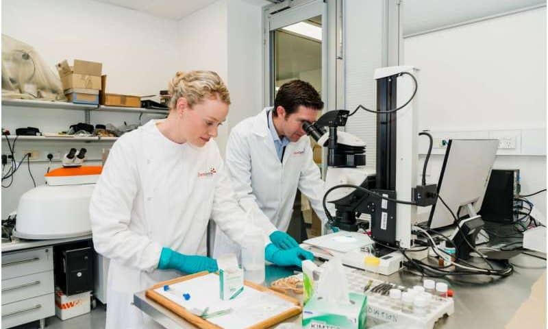 Researchers develop new tool in forensic intelligence gathering