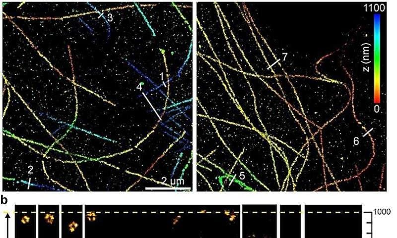 ROSE-3D advances isotropic 3D super-resolution microscopy