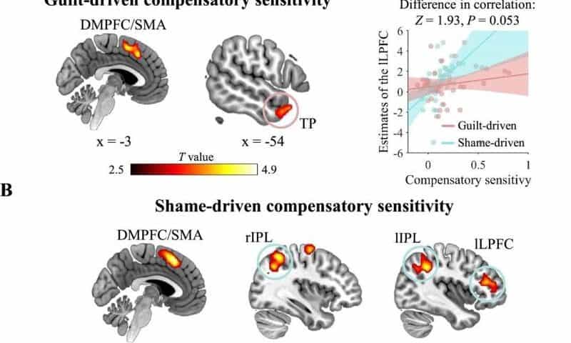 Scientists unravel neural networks that guide guilt and shame-driven behaviors