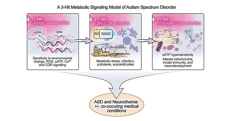 ‘Three-hit model’ involving genes and environment describes possible causes of autism