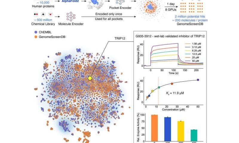 A new AI tool could dramatically speed up the discovery of life-saving medicines