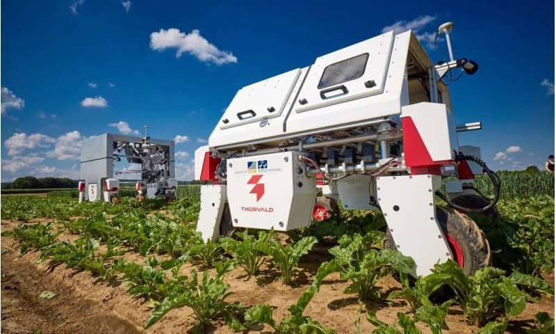 Researchers urge unified approach to sustainable agriculture innovation and policy reform