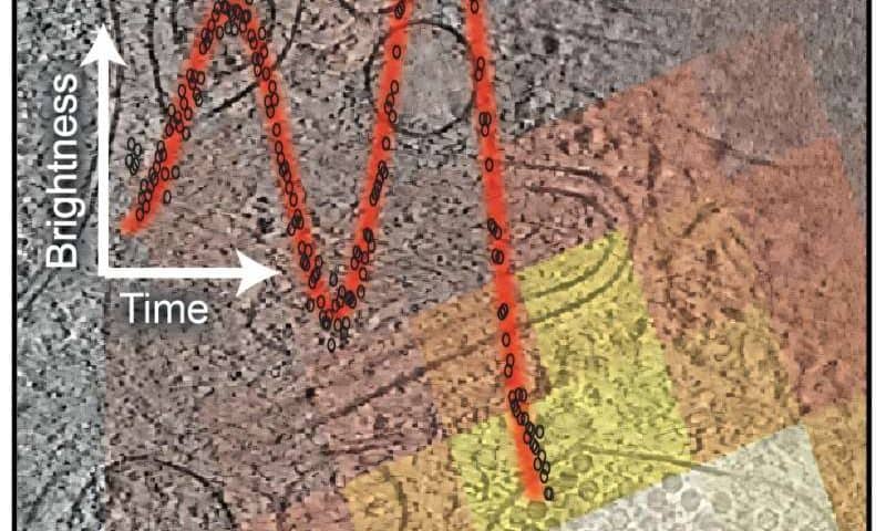 Tightening the focus of subcellular snapshots: Combined approach yields better cell slices for cryoET imaging