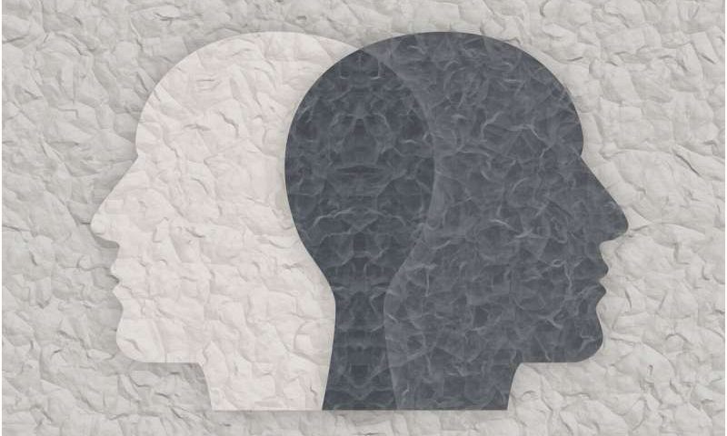 Researchers identify genetic blueprint of mania in bipolar disorder