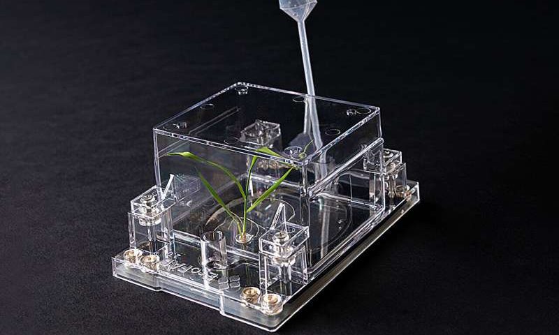 Growth chambers could enable reproducible plant-microbe data across continents