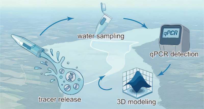 Tracer reveals how environmental DNA moves through lakes and rivers