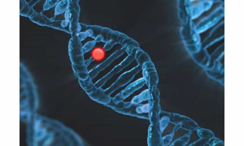 Deep-learning algorithms enhance mutation detection in cancer and RNA sequencing