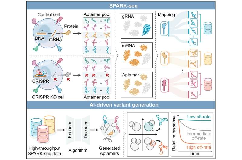 High-throughput platform enables aptamer discovery and kinetic ...