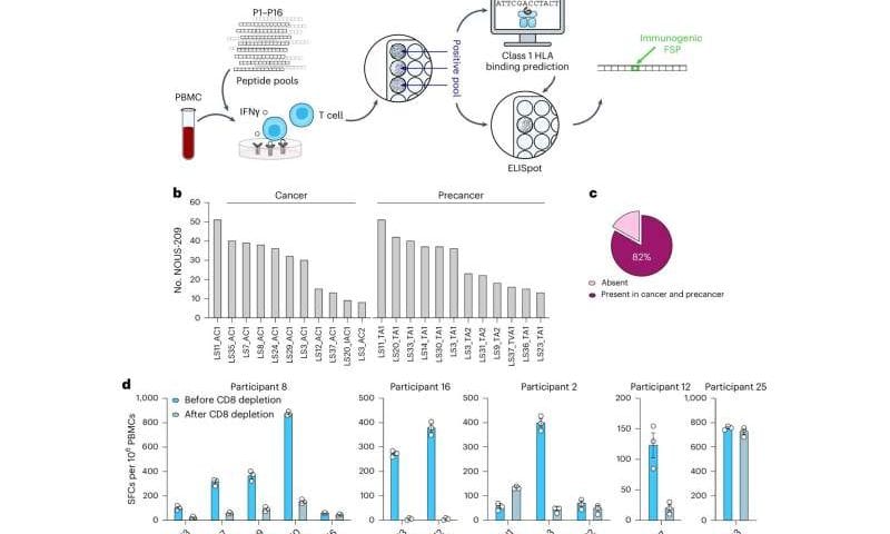 Immune-targeting vaccine shows promise intercepting cancer in patients with Lynch Syndrome