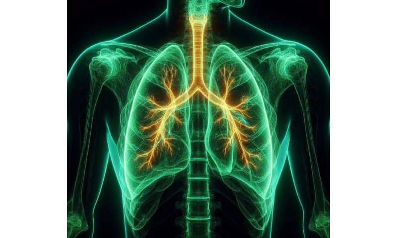 First breathing ‘lung-on-chip’ developed using genetically identical cells