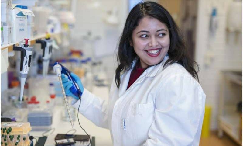 i-DNA ‘peek-a-boo structures’ form in living cells and regulate genes linked to cancer