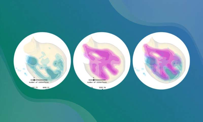 LimbLab: A tool to visualize embryonic development in 3D