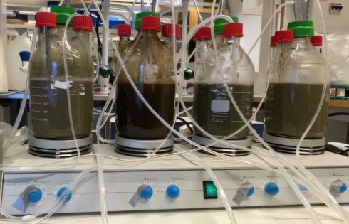 Can Baltic Sea pollution cut fertilizer imports? A lab method suggests a path