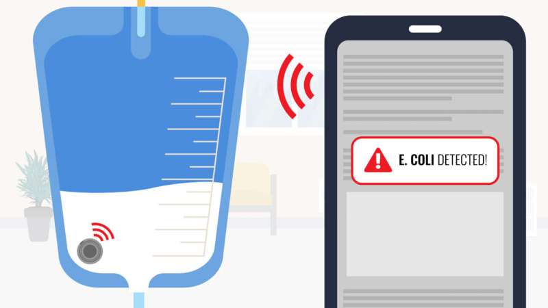 Smartphone-linked catheter sensor could spot UTIs sooner than lab cultures