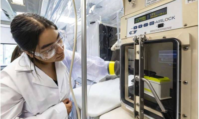 New tool cracks microbial defense codes for faster, precise bioengineering