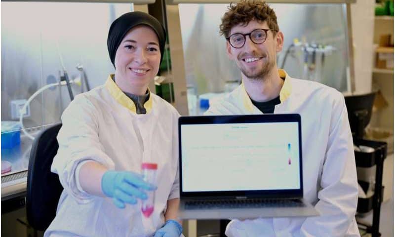 Cracking the rules of gene regulation with experimental elegance and AI