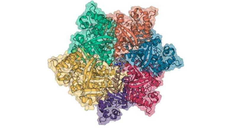 DNA-binding proteins from volcanic lakes could improve disease diagnosis