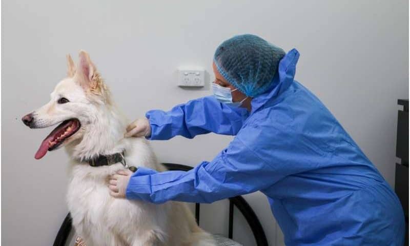 Silent witnesses: Pets offer a fur-ensic tale