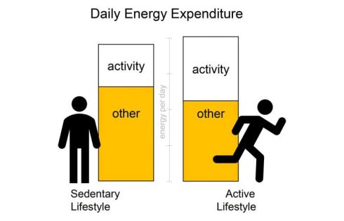 Why working out may not help you lose weight
