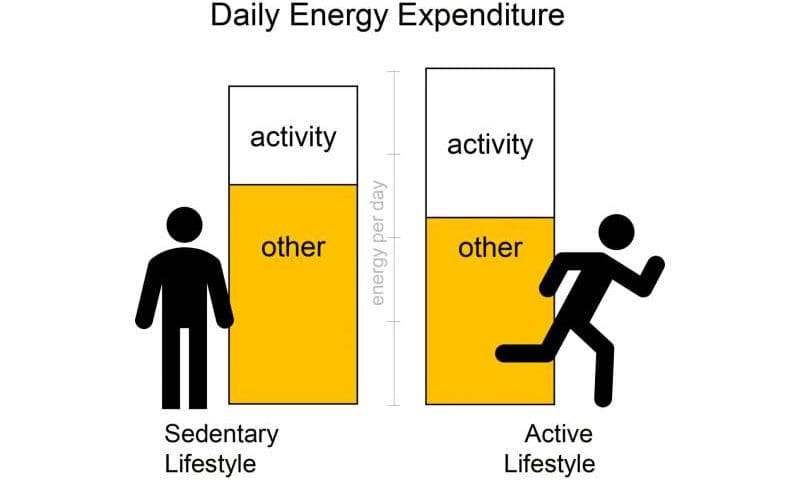 Why working out may not help you lose weight