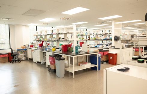 Evotec Eliminating 800 Jobs in Restructuring