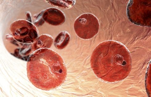 Complete Genome Sequencing Reveals Malaria Mosquito Adapting to Insecticides