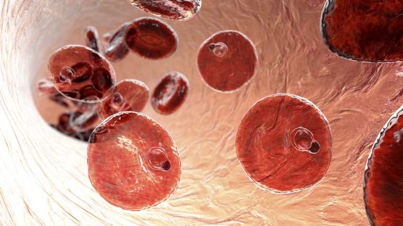 Complete Genome Sequencing Reveals Malaria Mosquito Adapting to Insecticides