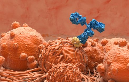 Cell Surface “Flag” Identified as Potential Cancer Target for Antibody Therapeutics