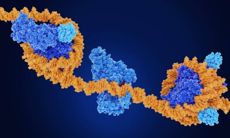 Brain Atlas Maps Epigenetic Changes Associated with Aging in Mice