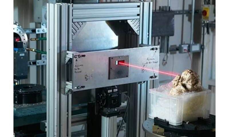 A new face for ‘Little Foot,’ the most complete Australopithecus skeleton to date