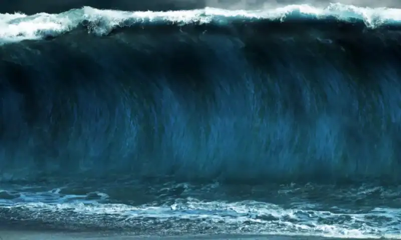 Wave Stock Cut in Half on Underwhelming Higher Dose Obesity Data