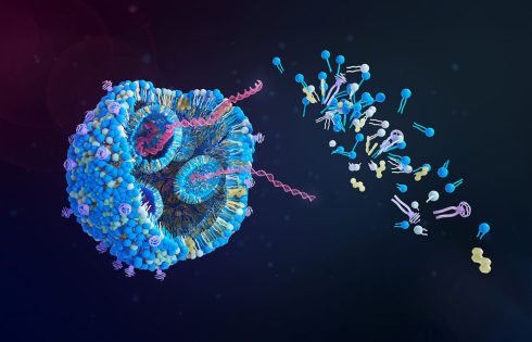 Amino Acid Cocktail Supercharges LNP Delivery for mRNA and CRISPR Therapies