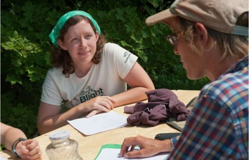 New study reveals what crop advisors really want from AI tools