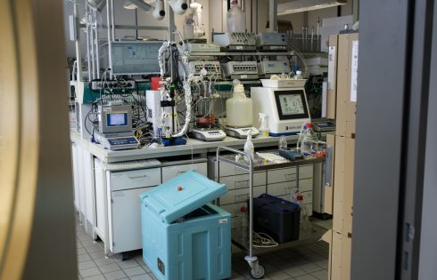 Perfusion Process for Manufacturing Oncolytic Viruses