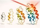 Light-guided ‘optovolution’ evolves proteins that switch states on schedule
