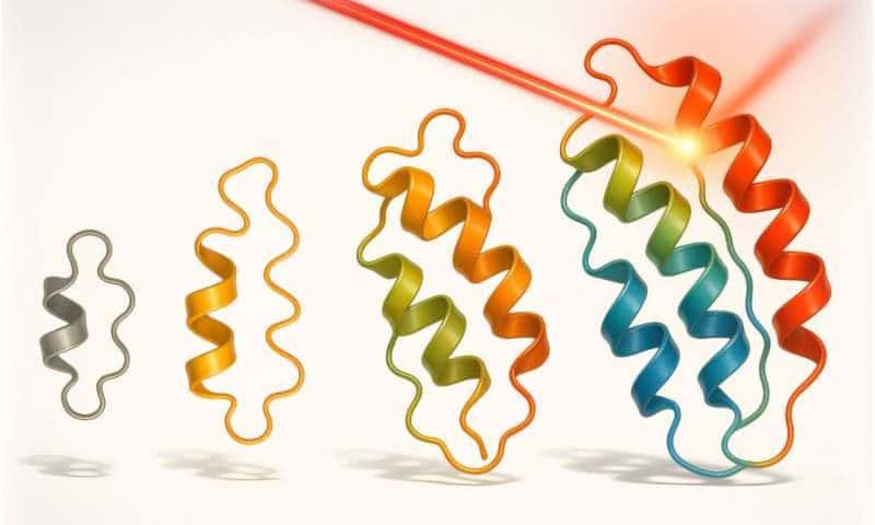 Light-guided ‘optovolution’ evolves proteins that switch states on schedule