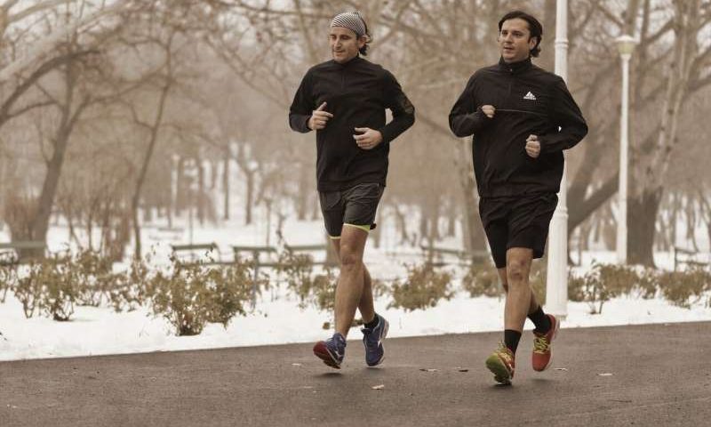 How voluntary exercise reshapes tryptophan metabolism through the gut microbiota