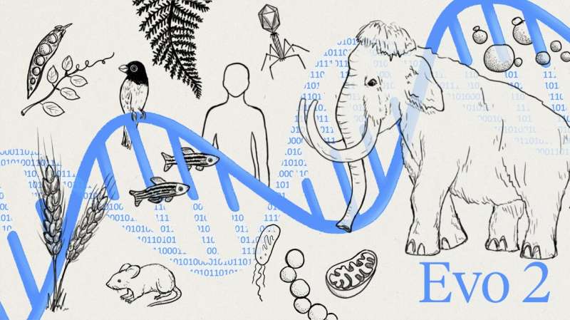 With Evo 2, AI can model and design the genetic code for all domains of life