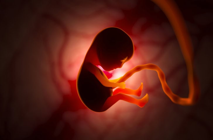 Single-Cell Atlas of Maternal–Fetal Interface Sheds Light on Pregnancy Complications